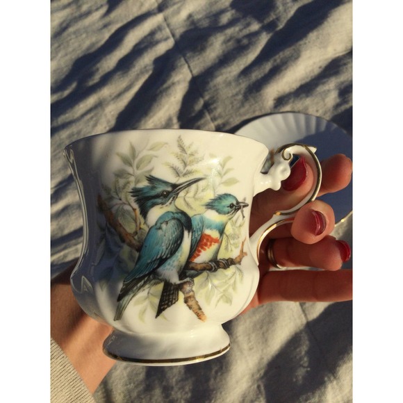 Vintage Queen’s Rosina birds of america 1 belted kingfisher cup saucer England - Picture 2 of 8
